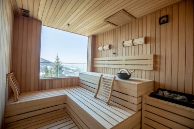 Sauna Repair Services and Tips