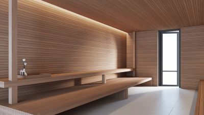 Sauna Repair